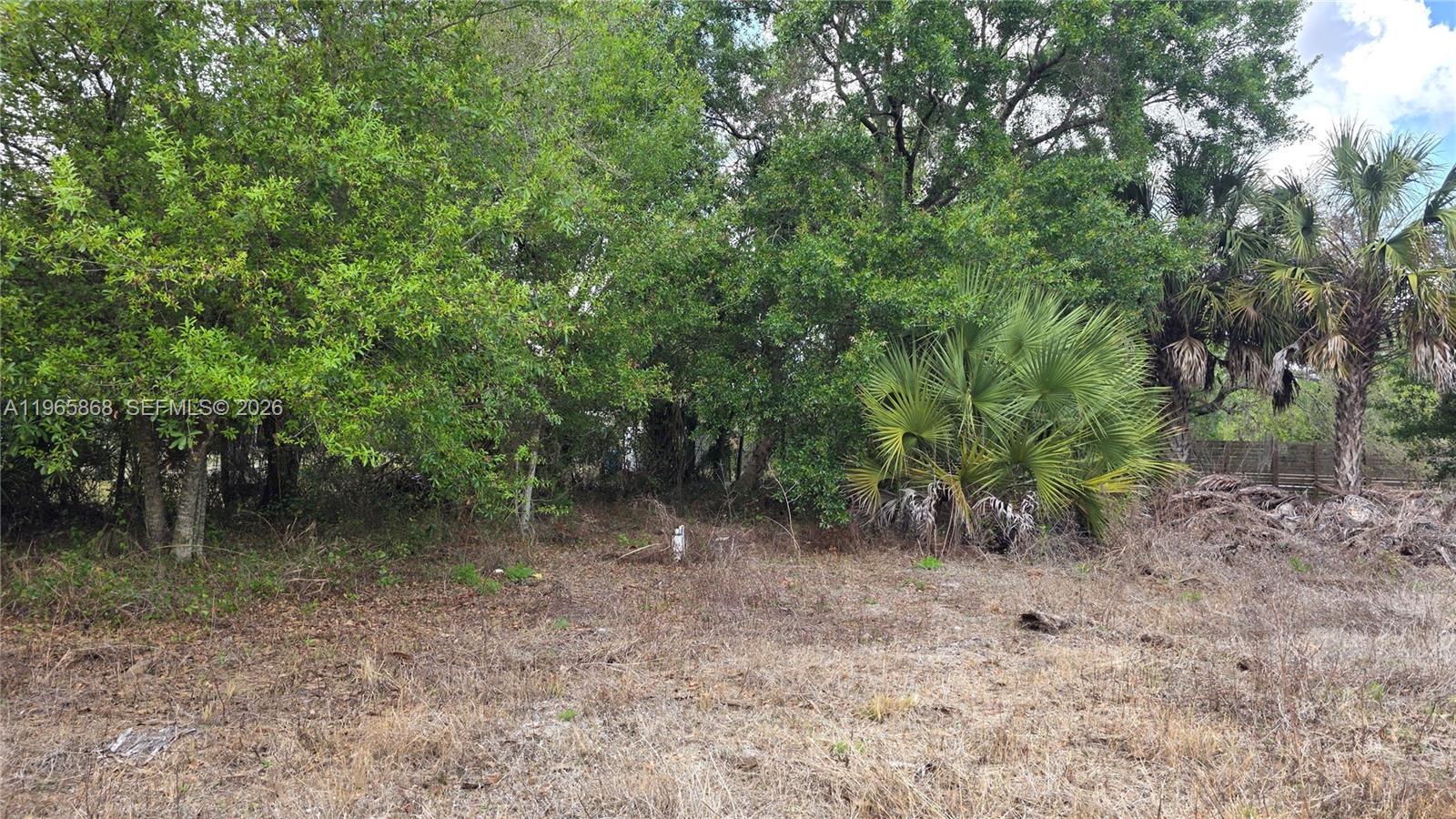 Montura Ranch Estates - Land