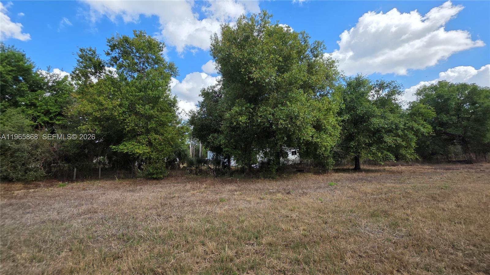 Montura Ranch Estates - Land