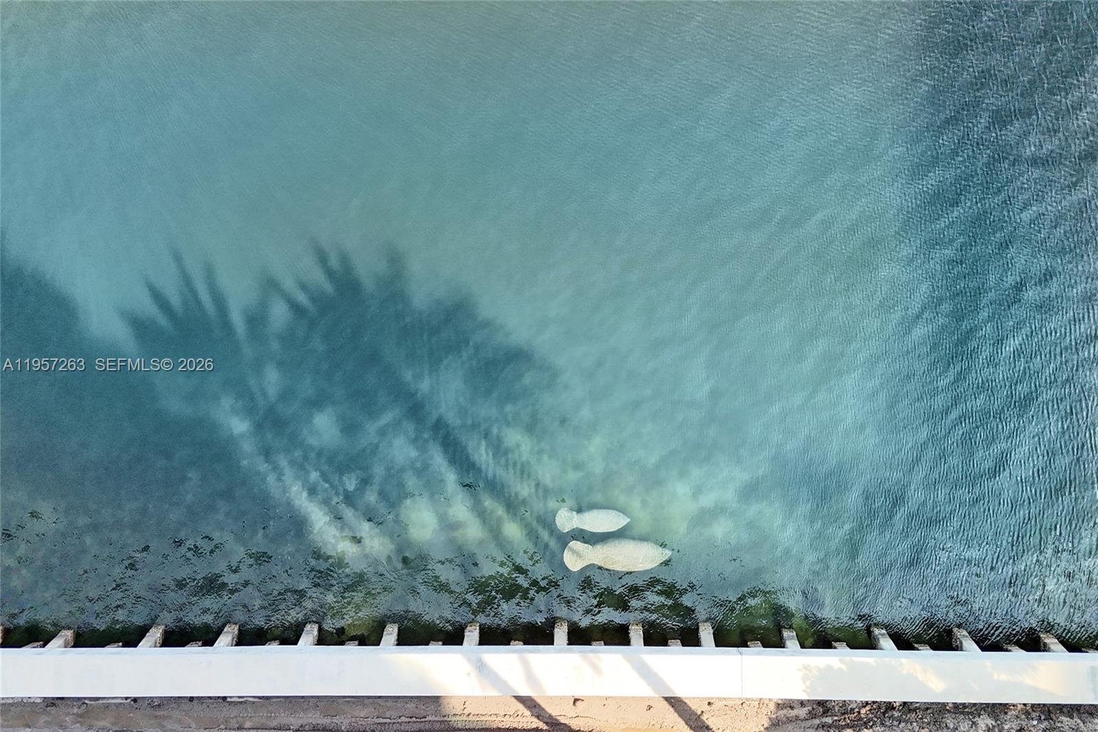 HAMPTONS SOUTH CONDO - Residential