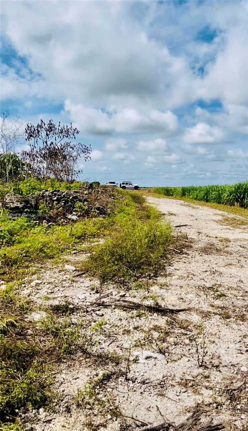 Photo of W Corkscrew Blvd, Palm Beach, FL 33440 (MLS # A11696540)