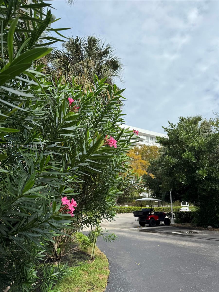 ISLAND BREAKERS CONDO - Residential Lease