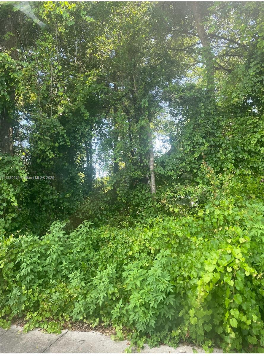 Discover the perfect opportunity to own your slice of Florida living! This 0.21-acre lot is located just minutes from Little Lake Weir, known for boating, fishing, and peaceful surroundings. With R4 zoning, you can place a mobile home or build a single-family residence.
Quiet neighborhood with easy access to US-441 and The Villages
No HOA, flexible use
Room for your home, garden, or weekend retreat
Short drive to shopping, dining, and entertainment
Whether you’re looking for a homesite, vacation spot, or investment property, this lot has great potential.