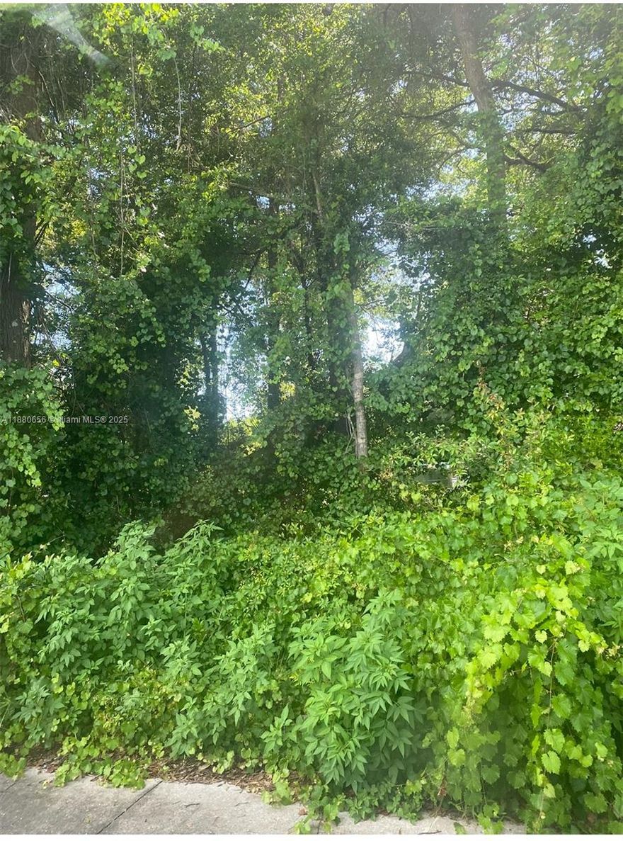 Discover the perfect opportunity to own your slice of Florida living! This 0.21-acre lot is located just minutes from Little Lake Weir, known for boating, fishing, and peaceful surroundings. With R4 zoning, you can place a mobile home or build a single-family residence.
Quiet neighborhood with easy access to US-441 and The Villages
No HOA, flexible use
Room for your home, garden, or weekend retreat
Short drive to shopping, dining, and entertainment
Whether you’re looking for a homesite, vacation spot, or investment property, this lot has great potential.