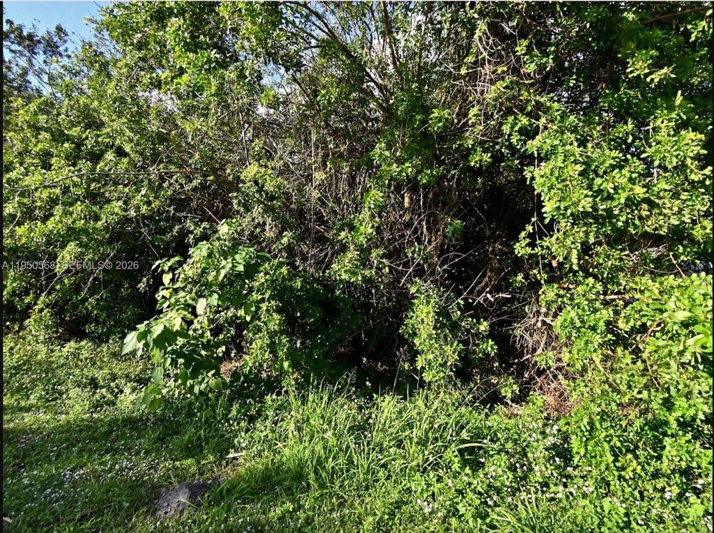 Photo of lot 6 San Diego Ave, Fort Pierce, FL 34946 (MLS # A11950568)