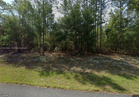 208 W Ruska Pl Citrus Springs FL 34434