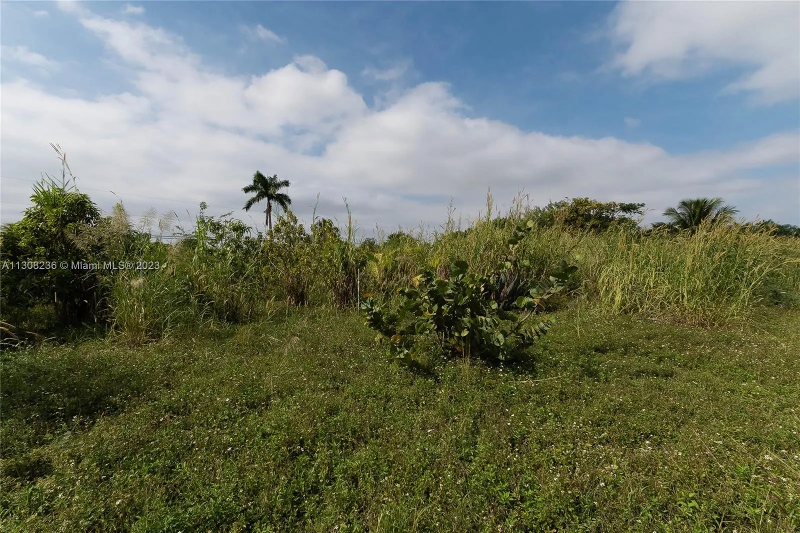 Homestead, Florida 33032, United States, ,Land,Pending,74064