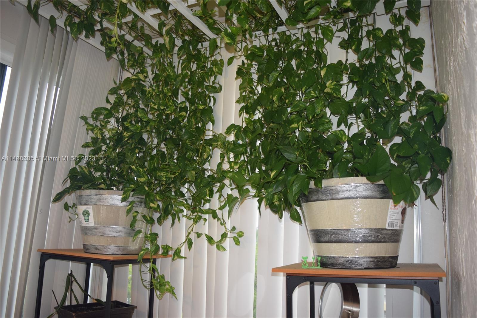 TOPAZ SOUTH CONDO - Residential