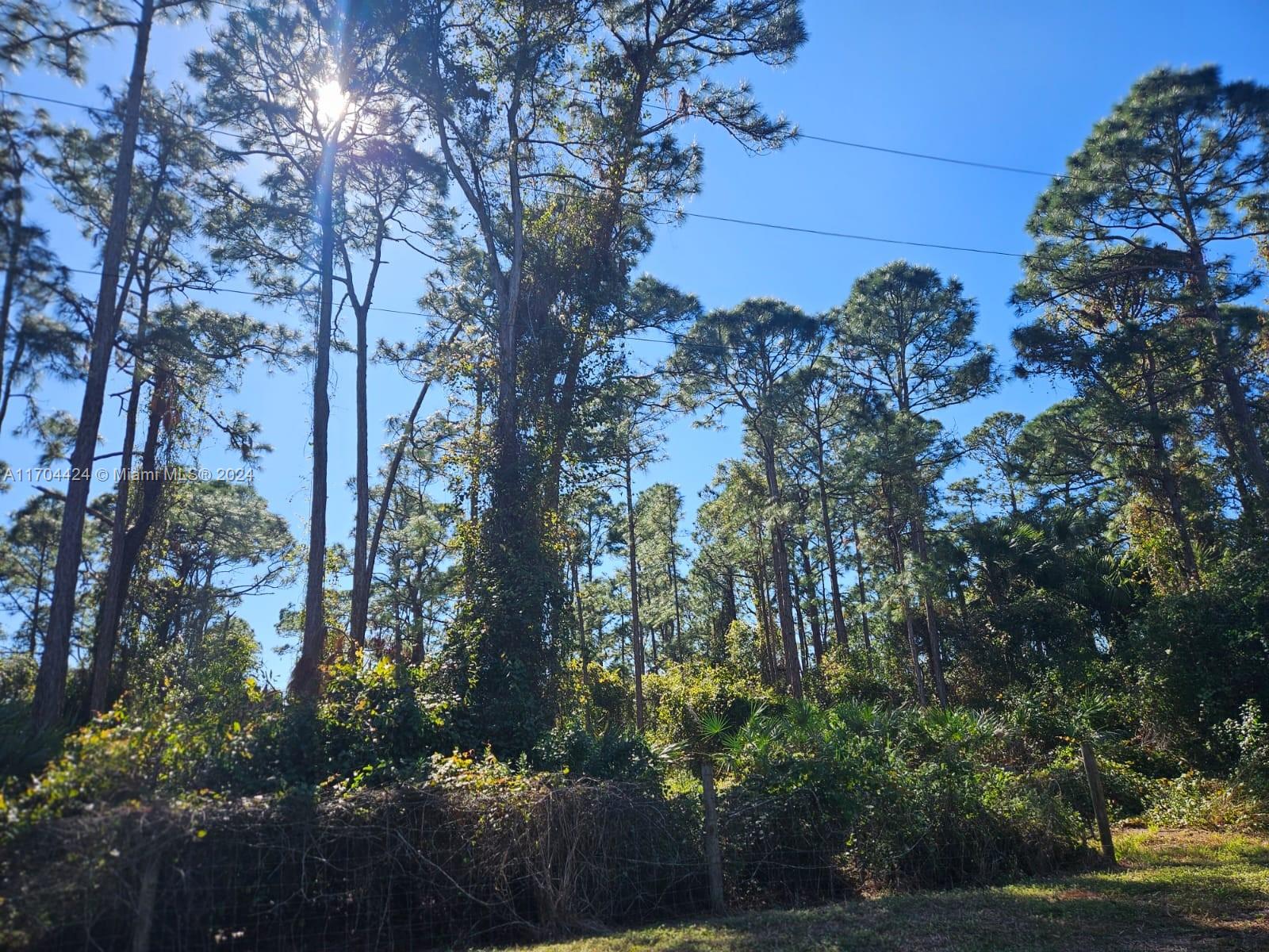 METES AND BOUNDS - Land