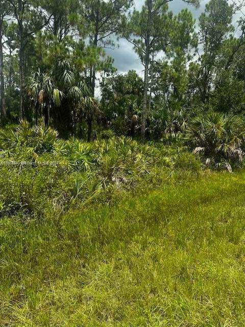 PORT CHARLOTTE SEC 048 - Land
