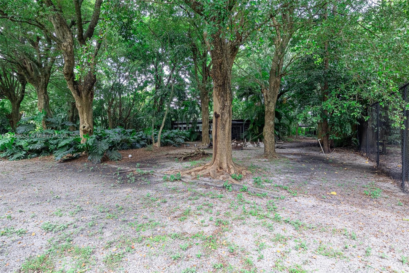 Horse Country - Land