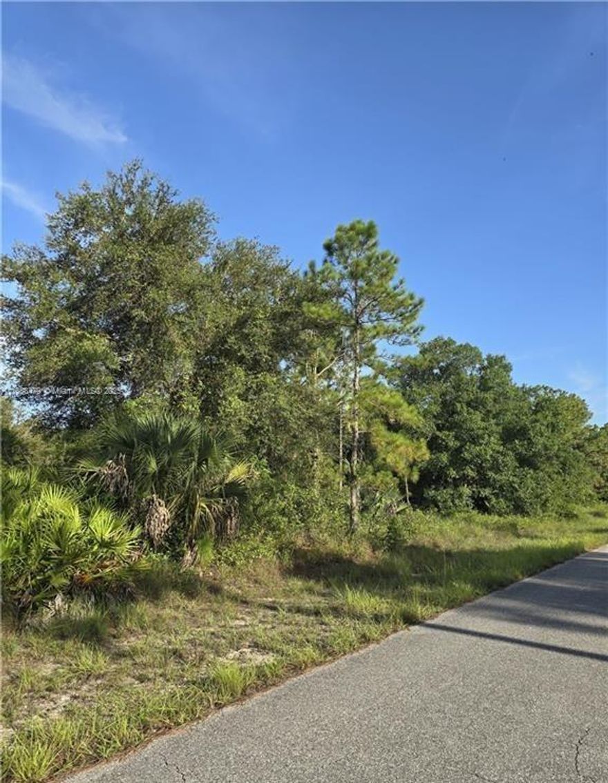 Half-Acre lot in a quiet, growing area of Lehigh Acres! Just minutes from SR-80, Joel Blvd, near local schools. shopping, and dining. This spacious property offers the perfect canvas for your dream home or next investment. Surrounded by nature and convenience, it's an ideal blend of privacy and accessibility. Don't Miss Out!
