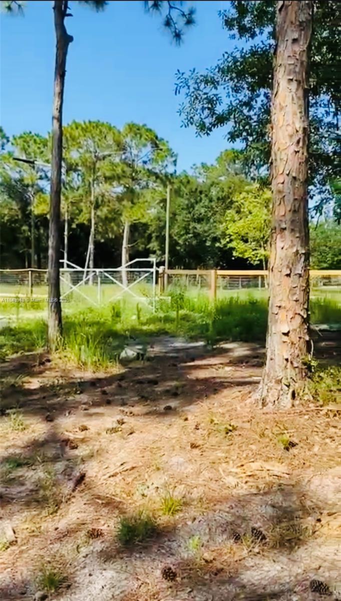 THE WOODLAND S/D - Land