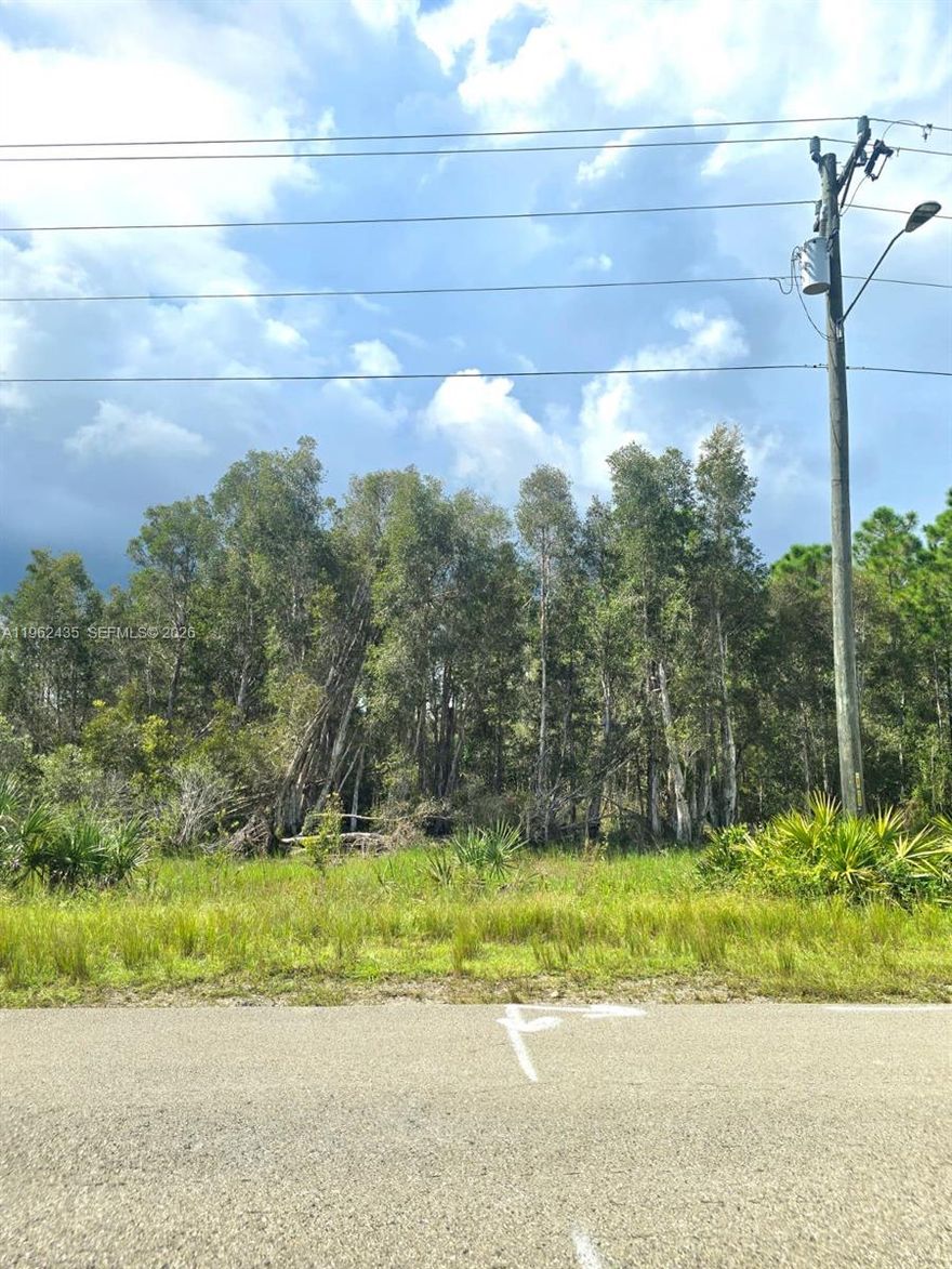 Commercially zoned lot offering 8,751 sq ft (±0.20 acres) located on Meadow Rd, a main thoroughfare in Lehigh Acres. Excellent opportunity to build and operate your own business, subject to county regulations. High visibility location with ongoing development and easy access to major roads. Ideal for investors or business owners seeking a presence in a growing area.