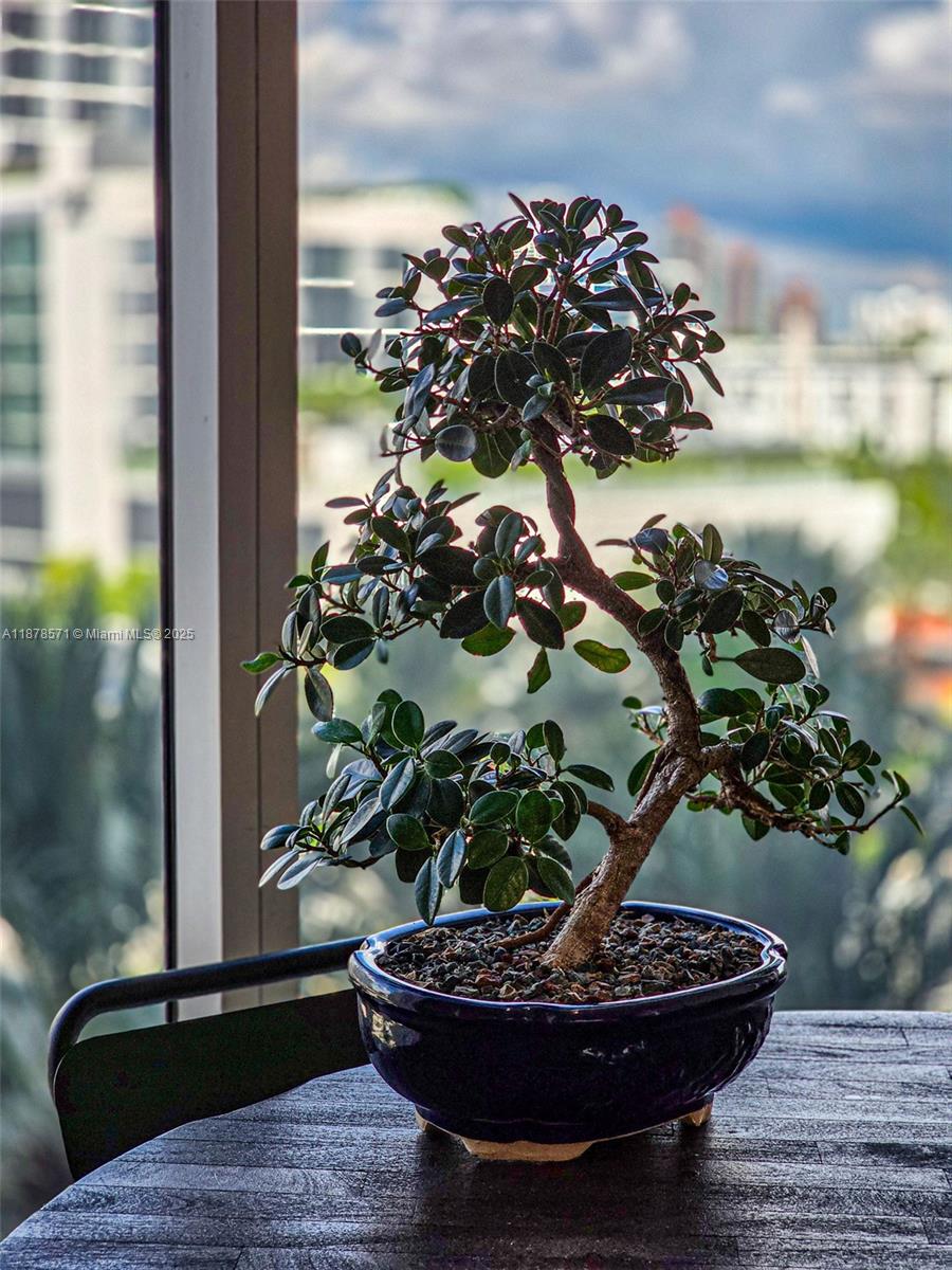 THE PINNACLE CONDO - Residential