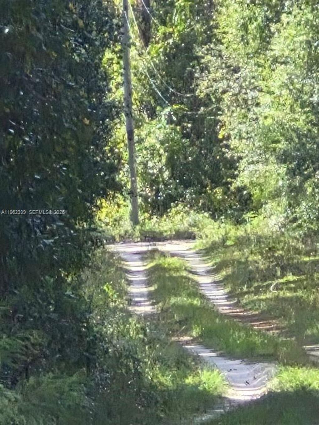 Photo of 2390 NW 65th Ave, Other, FL 32619 (MLS # A11962399)