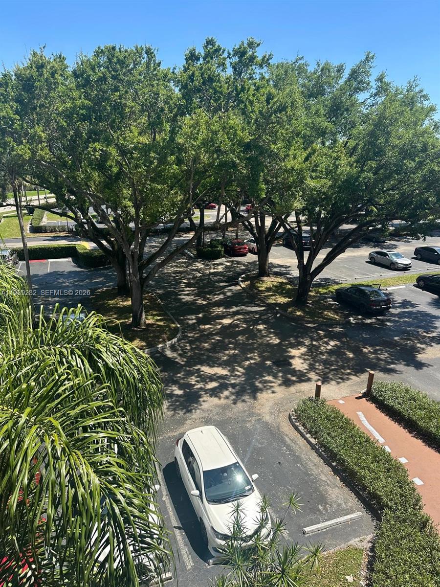 CONDO 1 OF SABAL PALM CON - Residential Lease