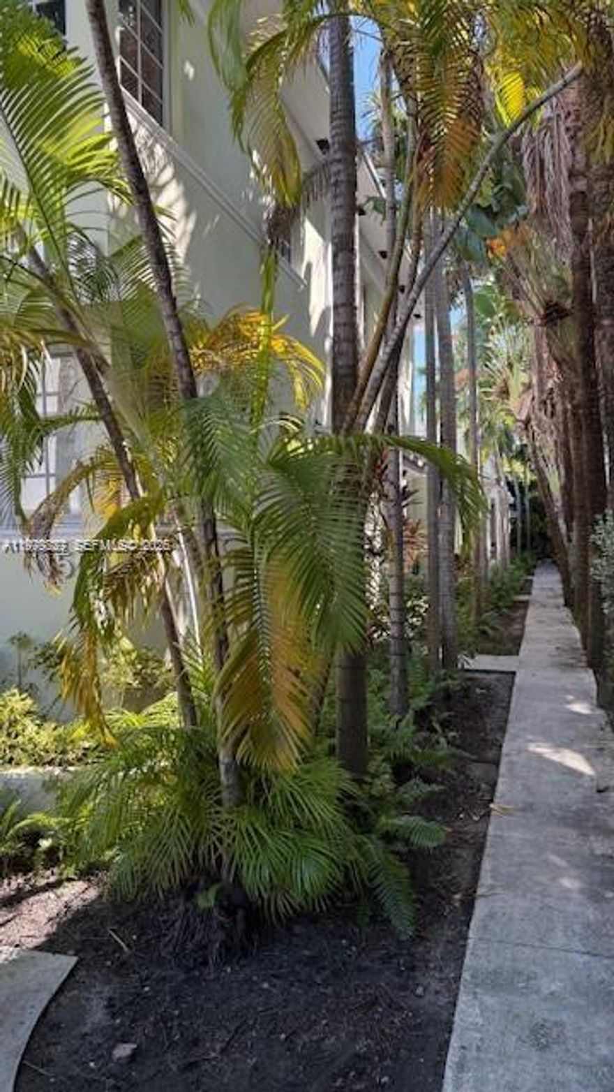 Live in the center of one of Miami's most vibrant neighborhoods with this charming 1Bed/1Bath apartment located at 1561 Lenox Avenue in South Beach. Enjoy the best of both worlds a serene, tree-lined environment while being just minutes from the beach, Lincoln Road shopping and dining, parks, cafes, and vibrant nightlife. This residence offers the ideal blend of comfort and coastal lifestyle. This fully furnished, cozy and inviting apartment features a thoughtfully designed layout with a spacious living area and large windows which allow you to enjoy tranquil views of the surrounding trees, giving the home a relaxing, garden-style feel, and creating a welcoming atmosphere for relaxing or entertaining. The kitchen offers functional cabinetry and range/oven, making everyday living easy and convenient. The bedroom provides a peaceful retreat, while the bathroom features clean, finishes with bathtub. Whether you're looking for a full-time residence, a beachside retreat, or a stylish place close to everything South Beach has to offer, this apartment delivers exceptional location and value. Schedule a showing appointment today before this unit is gone!