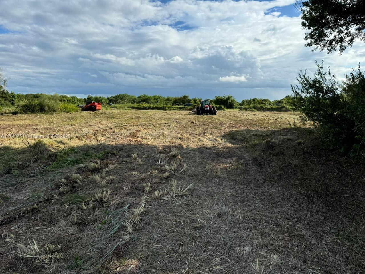 BEAUTIFUL 3.75 ACRES AVAILABLE FOR YOUR NEW DREAM HOME. NO WET LAND. FLOOD ZONE X. FENCE, GATED ENTRY. SMALL GAZEVO WITH WELL. POND NEAR FRONT CENTER OF PARCEL. POWER POLES RUN ALONG FRONT OF PROPERTY. LOCATED SOUTH OF KISSIMMEE PRAIRE PRESERVE STATE PARK AND NORTH OF LAKE OKEECHOBEE.