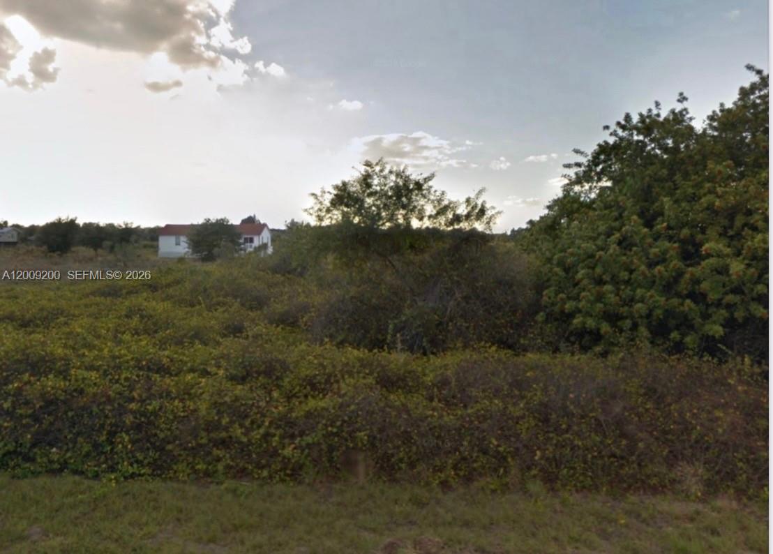 LEHIGH ACRES - Land