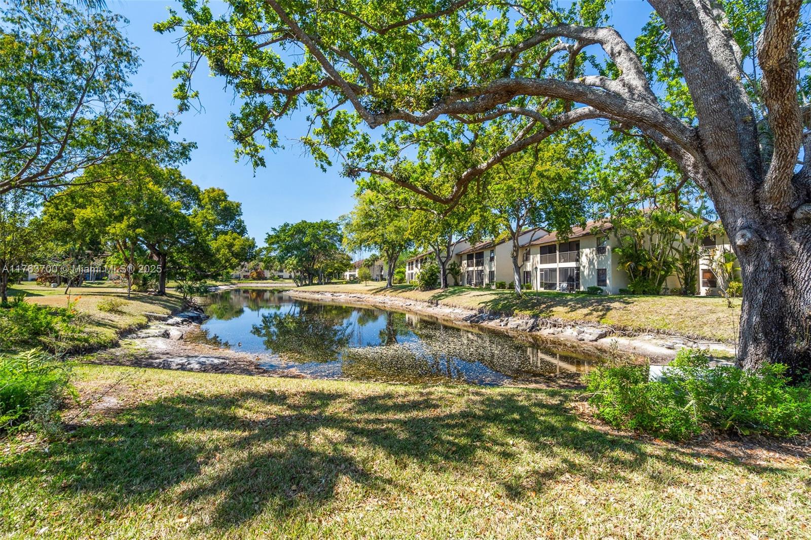 3059 Carambola Circle S 2033