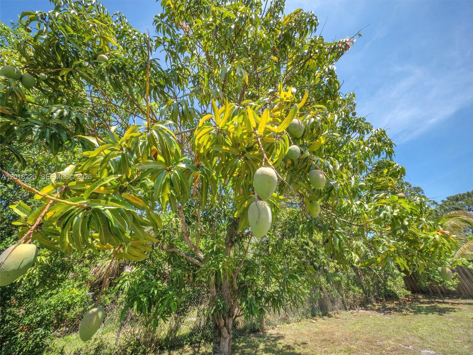 PALM-AIRE AT COCONUT CREEK - Residential
