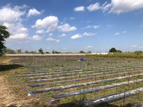 19550 SW 207 Ave Miami FL 33187