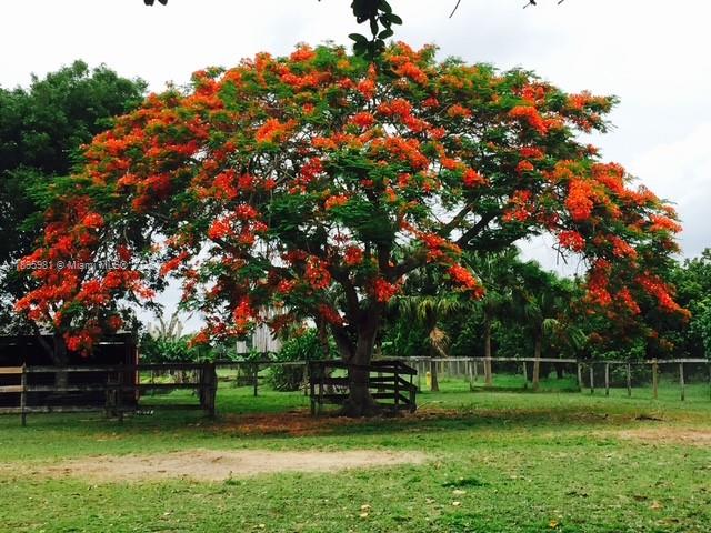 4.87 AC REDLAND ESTATE - Residential