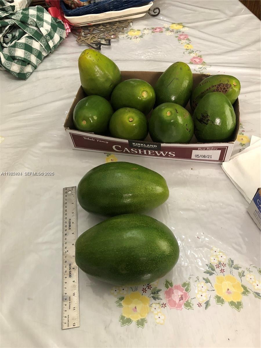 FLORIDA FRUIT LAND COMPAN - Residential