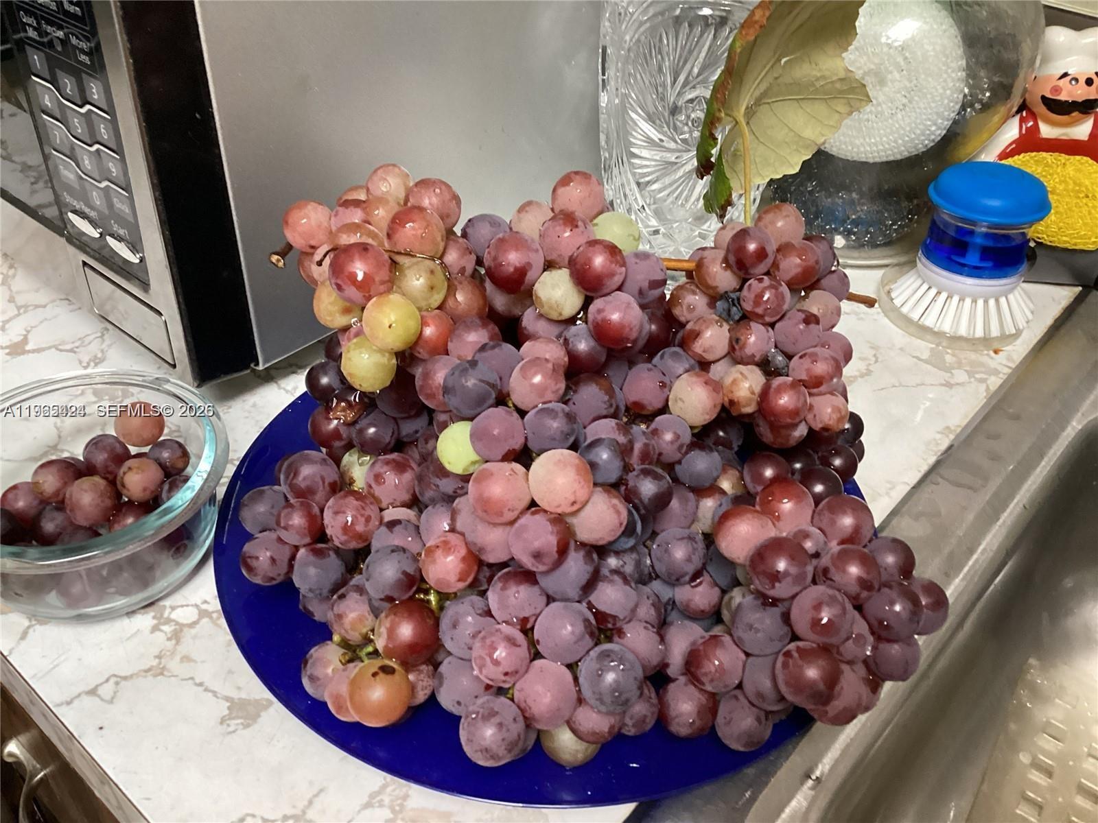 FLORIDA FRUIT LAND COMPAN - Residential