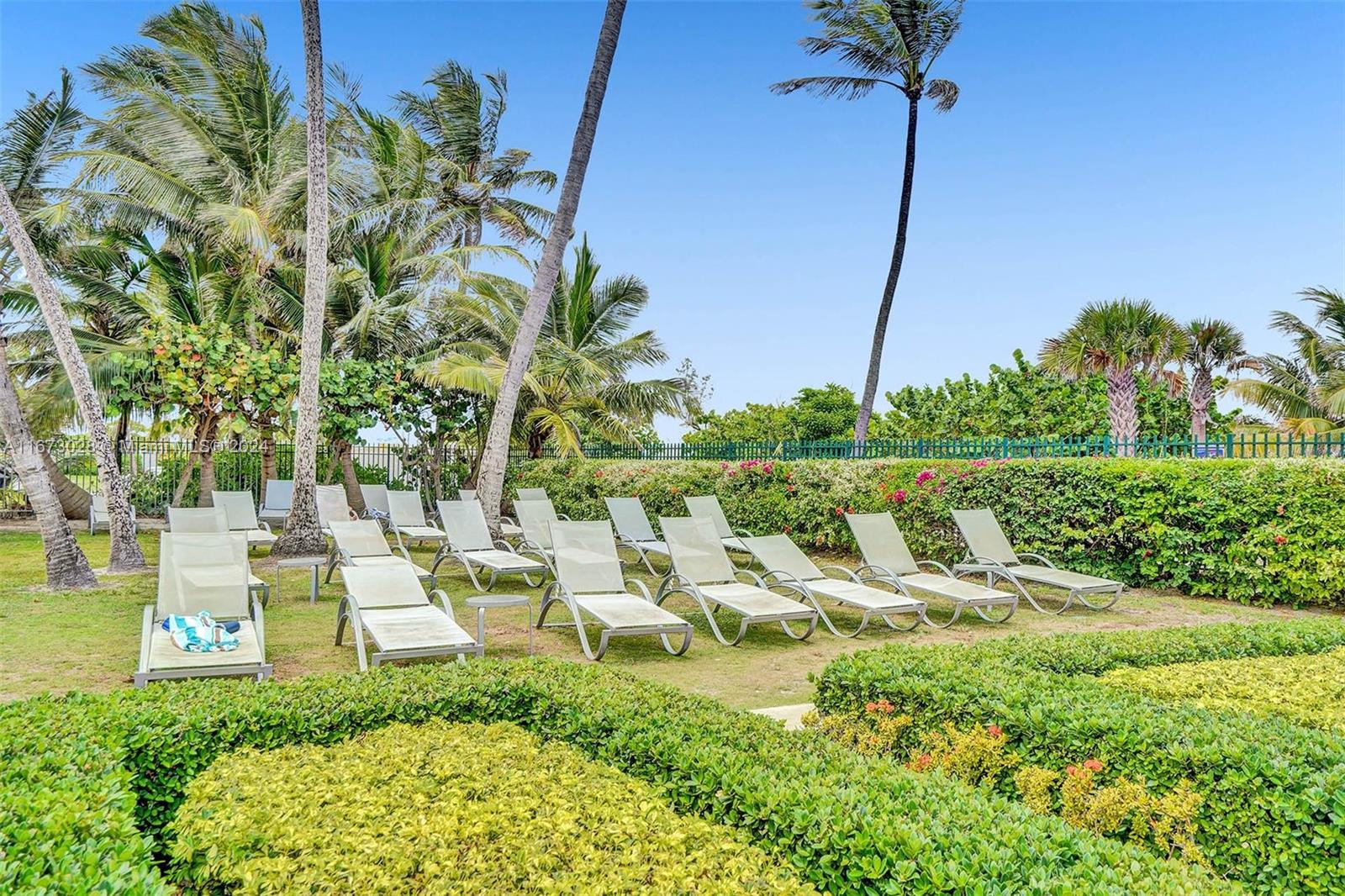 THE ALEXANDER CONDO - Residential