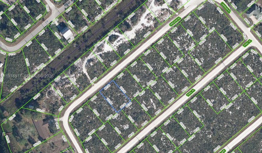 Multi-Family; Duplex or SFH. OWNER WILL FINANCE 3,000 DOWN 295.04 PER MONTH FOR 60 MONTHS @ 7% INTEREST. NO CREDIT NEEDED! NO CREDIT CHECK! Beautiful lot that you can build your new dream home or duplex as an investment property. Power is 3 lots away, high & dry, hard-packed gravel road. Build your dream home here surrounded by beautiful lakes; Lake June, Lake Crews and Scrub State park. Use of public boat ramps.