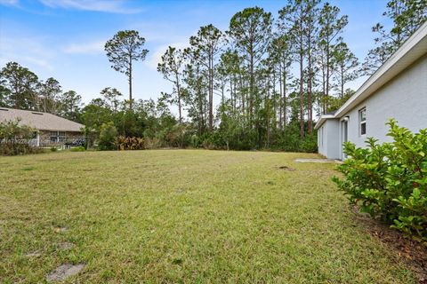 A home in Palm Coast