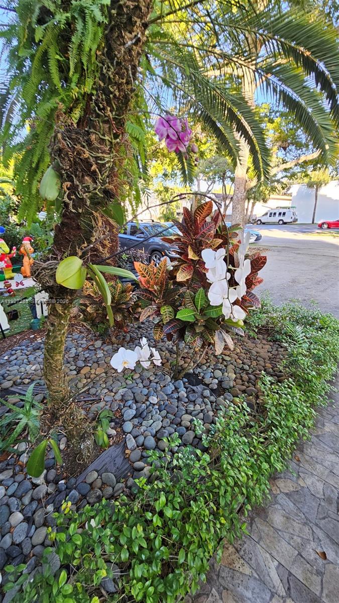 HOLLYWOOD GARDENS CONDOMI - Residential