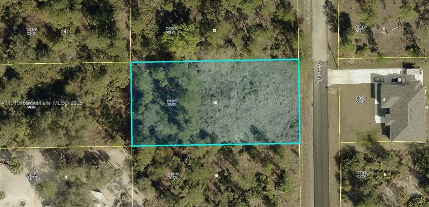 Take advantage of this beautiful lot in growing neighborhood in Lehigh Acres.  Dead End Street which lots of privacy and peace of mind.  Build to your liking.  Lots of After Repair Value opportunity.