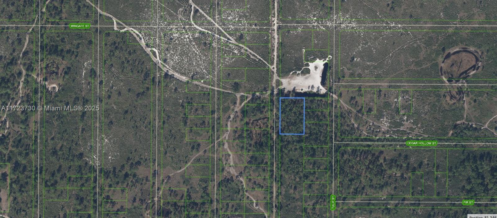 OWNER WILL FINANCE!!! Huge over 3/4 Acre lot! (33,250 Sq. Ft.) Beautiful lot in a rural area of Highland Park Estate. This property is located in the fenced area of the Florida Fish and Wildlife Environmental Conservation Area. If you want to build your dream home among nature rather that neighbors this is the spot for you. Yet only a 7 minute drive from town! Lake Istokpoga a 27,000 acre lake renown for bass fishing is nearby ..the Windy Point Boat ramp is just down the road. Along with the Highlands Est. Community Park. BUYERS WILL RECEIVE A KEY TO GATE FROM TIITF/FWCC TO ENTER THERE NEW PRIVATE PROPERTY LOT. OWNER WILL FINANCE!!! $2,000 DOWN $354.44 PER MONTH FOR 60 MONTHS AT 7% INTREST.