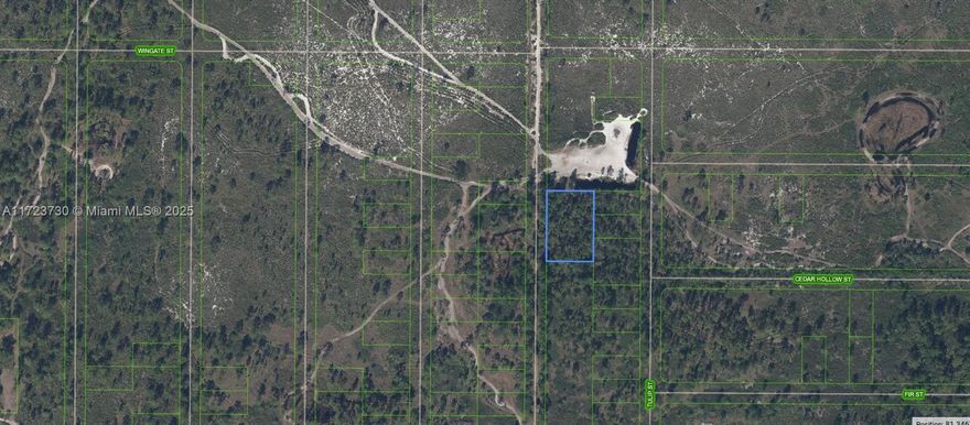 OWNER WILL FINANCE!!! Huge over 3/4 Acre lot! (33,250 Sq. Ft.) Beautiful lot in a rural area of Highland Park Estate. This property is located in the fenced area of the Florida Fish and Wildlife Environmental Conservation Area. If you want to build your dream home among nature rather that neighbors this is the spot for you. Yet only a 7 minute drive from town! Lake Istokpoga a 27,000 acre lake renown for bass fishing is nearby ..the Windy Point Boat ramp is just down the road. Along with the Highlands Est. Community Park. BUYERS WILL RECEIVE A KEY TO GATE FROM TIITF/FWCC TO ENTER THERE NEW PRIVATE PROPERTY LOT. OWNER WILL FINANCE!!! $2,000 DOWN $354.44 PER MONTH FOR 60 MONTHS AT 7% INTREST.
