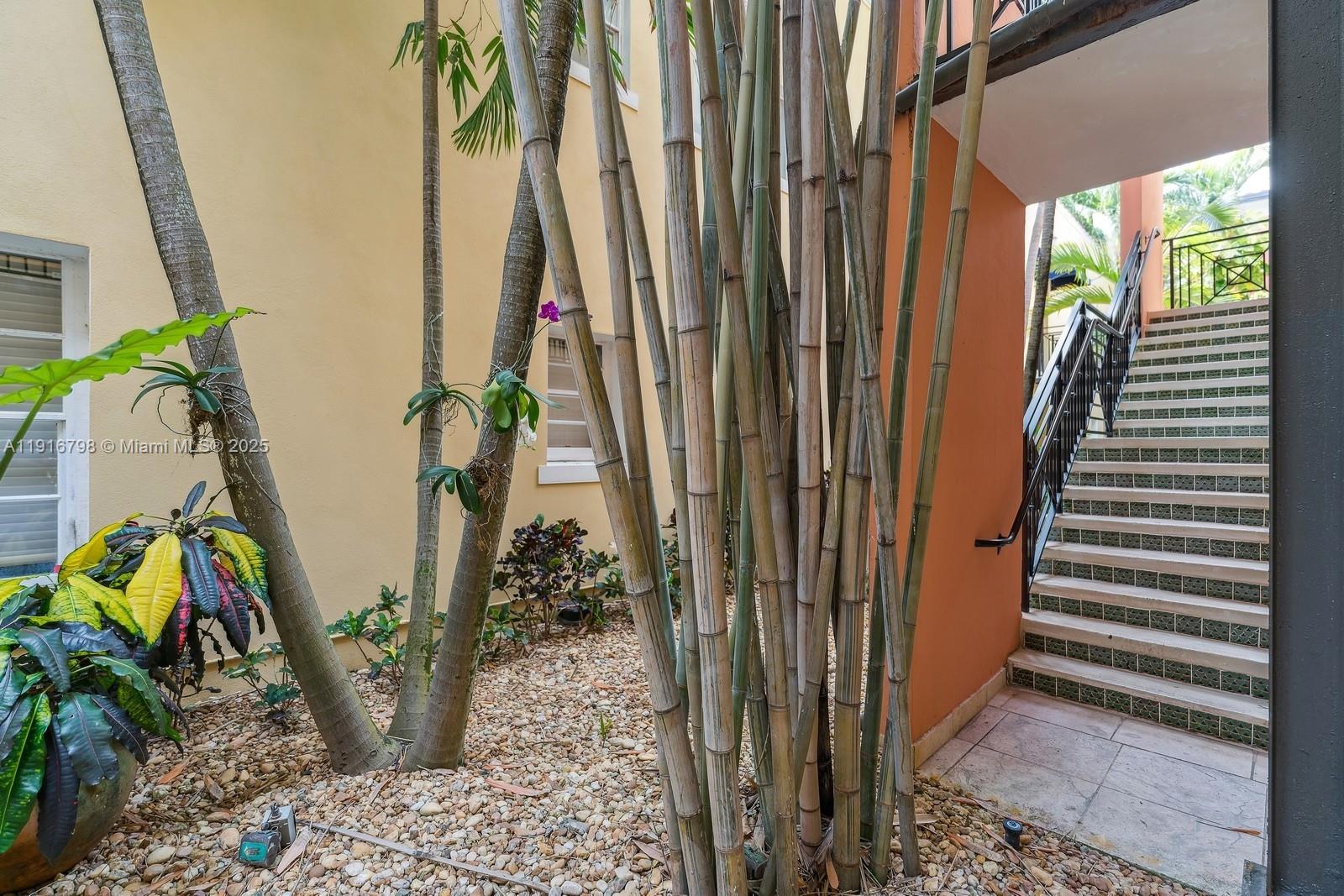 PINE TREE PLACE CONDO - Residential