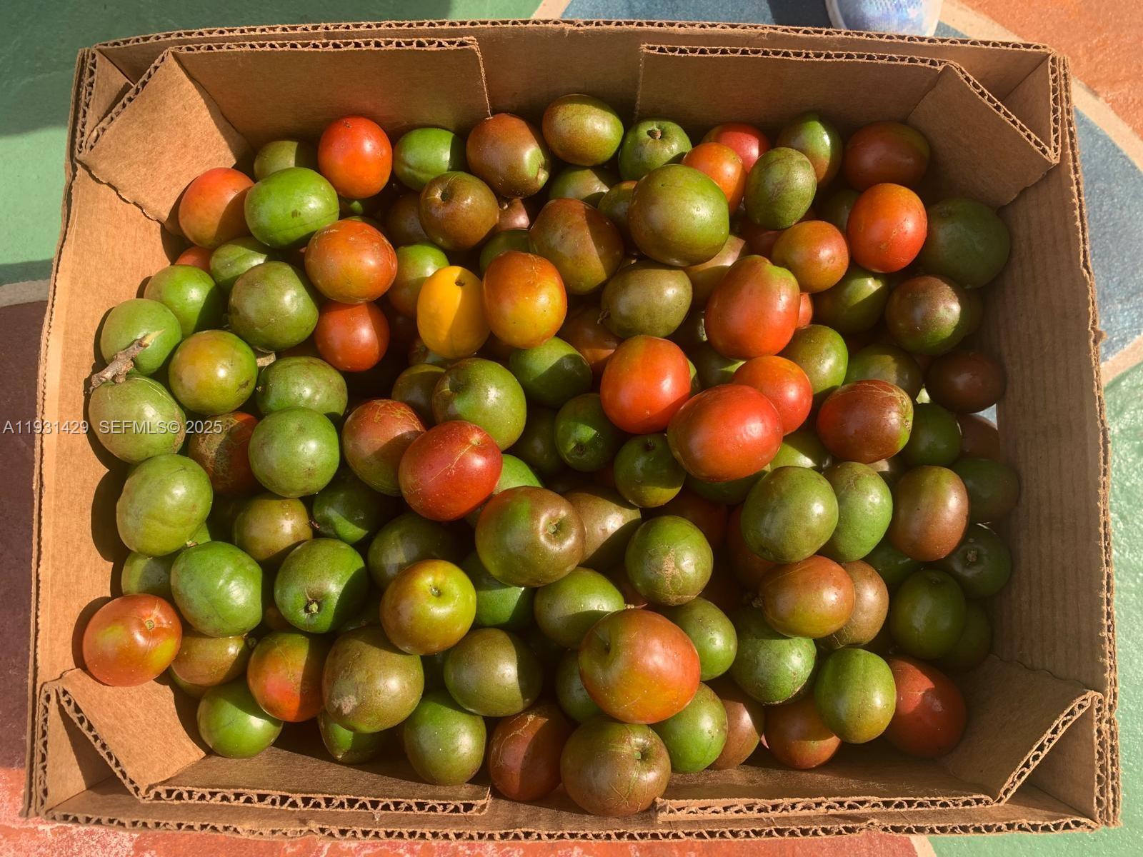 WESTWOOD LAKE 6TH ADDN - Residential