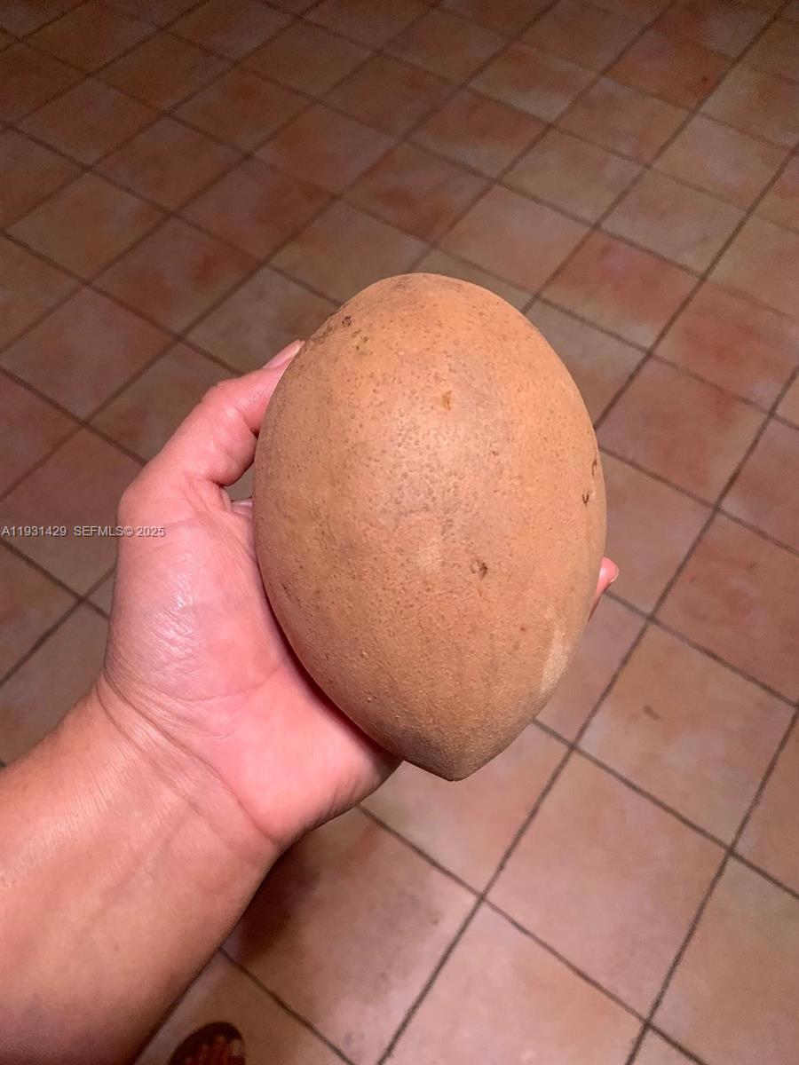 WESTWOOD LAKE 6TH ADDN - Residential