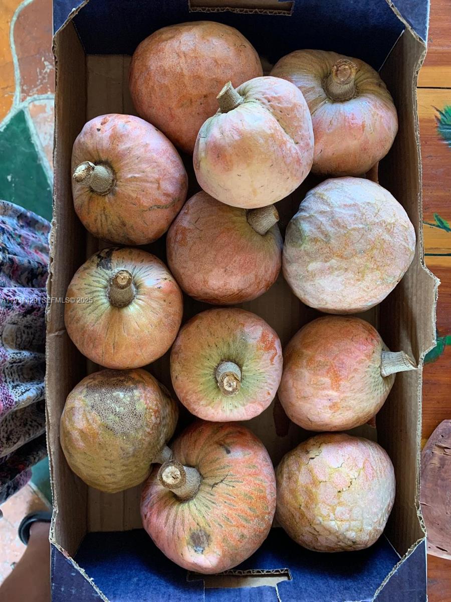 WESTWOOD LAKE 6TH ADDN - Residential