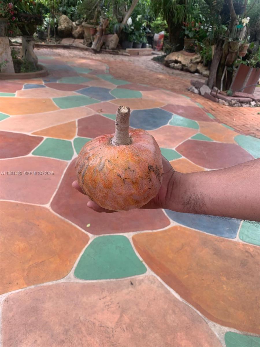 WESTWOOD LAKE 6TH ADDN - Residential