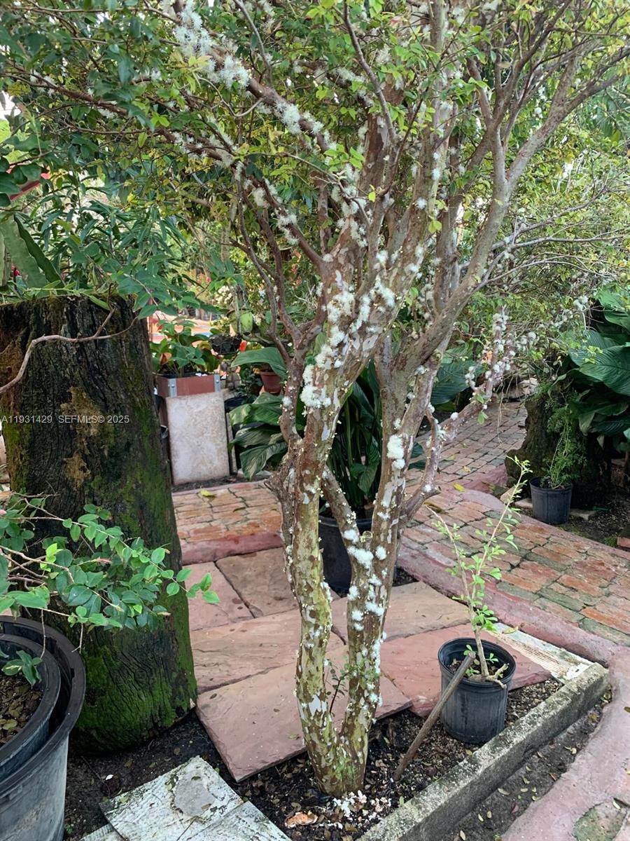 WESTWOOD LAKE 6TH ADDN - Residential