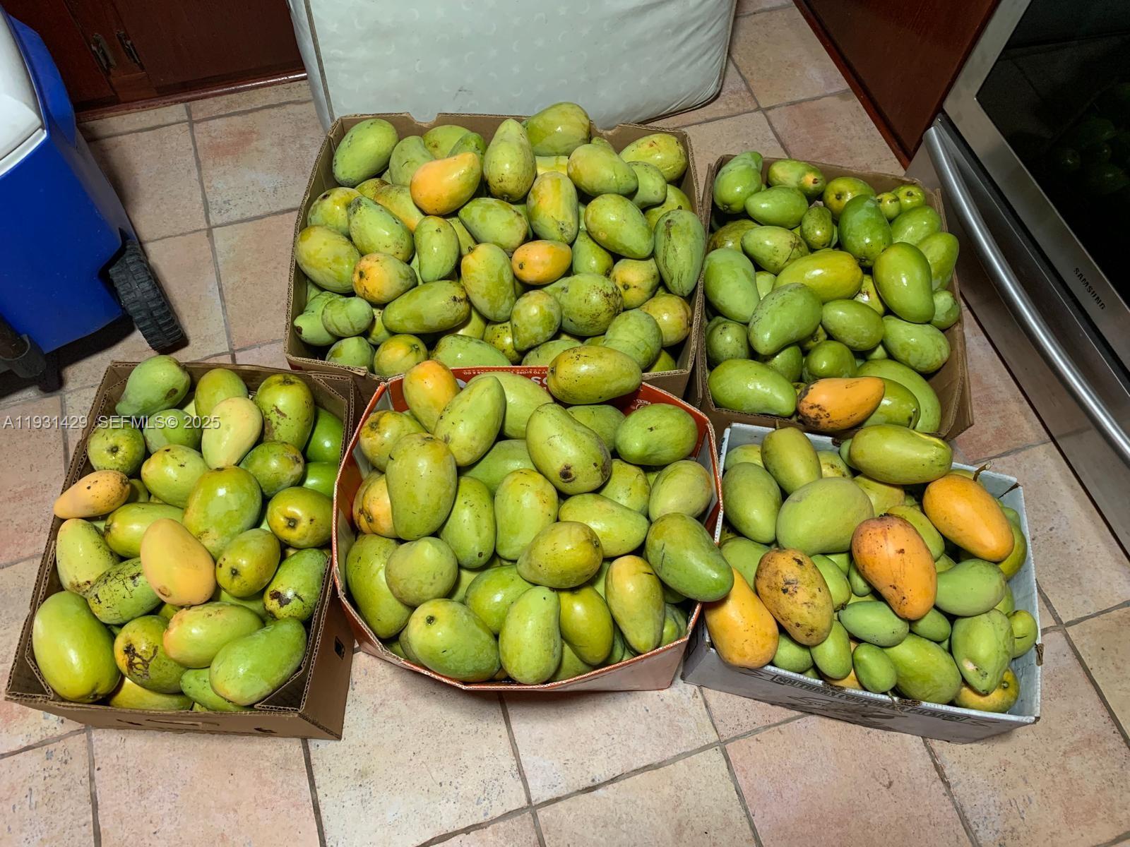 WESTWOOD LAKE 6TH ADDN - Residential