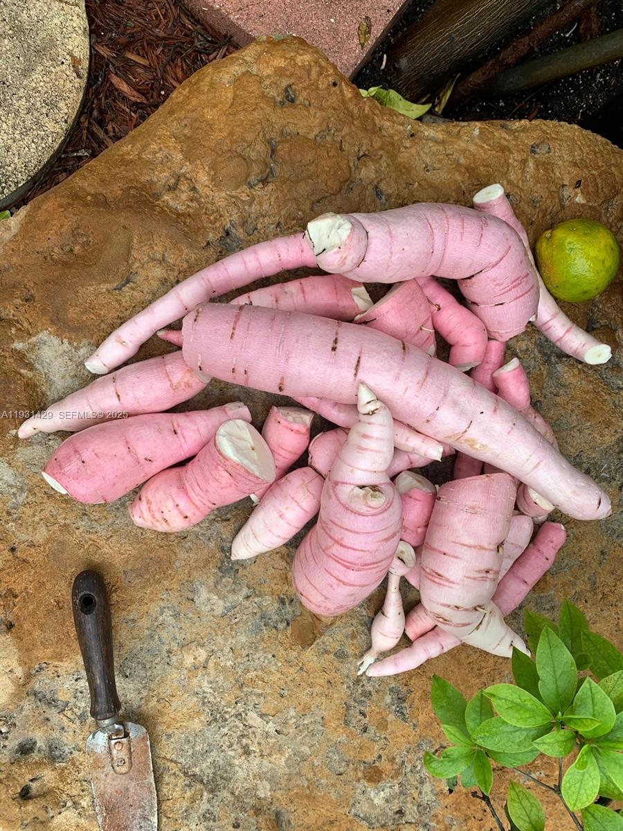 WESTWOOD LAKE 6TH ADDN - Residential