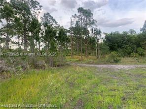 LEISURE LAKES S - Land