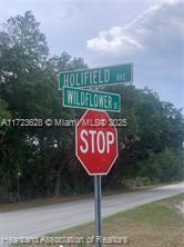 LEISURE LAKES S - Land