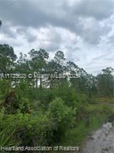 LEISURE LAKES S - Land