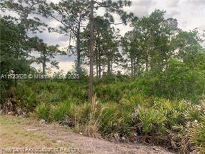 LEISURE LAKES S - Land