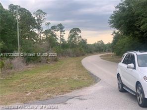 LEISURE LAKES S - Land