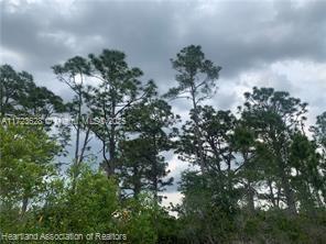 LEISURE LAKES S - Land